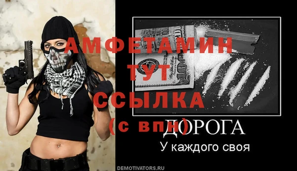 сатива Ессентукская