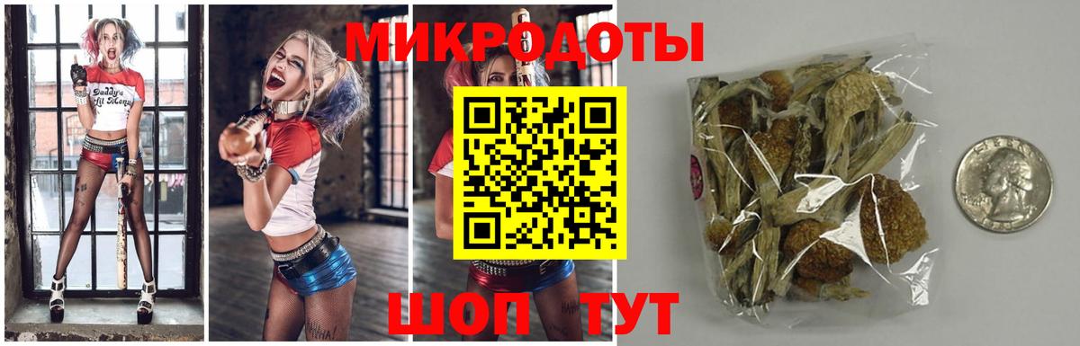 Галлюциногенные грибы GOLDEN TEACHER Сыктывкар